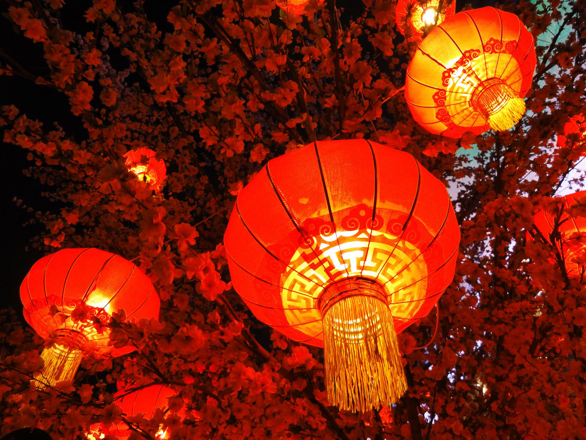 秦開電氣設(shè)備恭祝全國人民新年快樂！